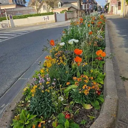 Cosy Proche Et Centre ウルガット