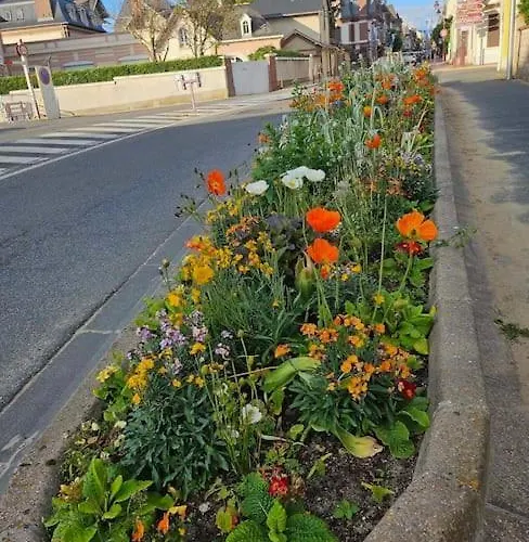 Cosy Proche Et Centre Houlgate